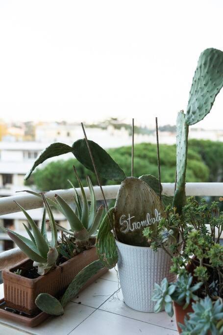 Casa 'Ttaja - Mediterranean Eco-Apartment 로마 외부 사진